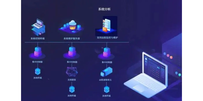 技术开发与软件技术开发的深度解析