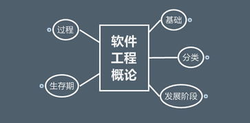 软件技术的就业方向 从开发到多元应用