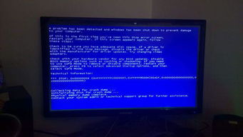 软件技术专业的就业岗位与发展前景解析